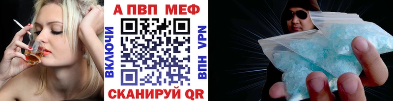 Альфа ПВП СК Шенкурск