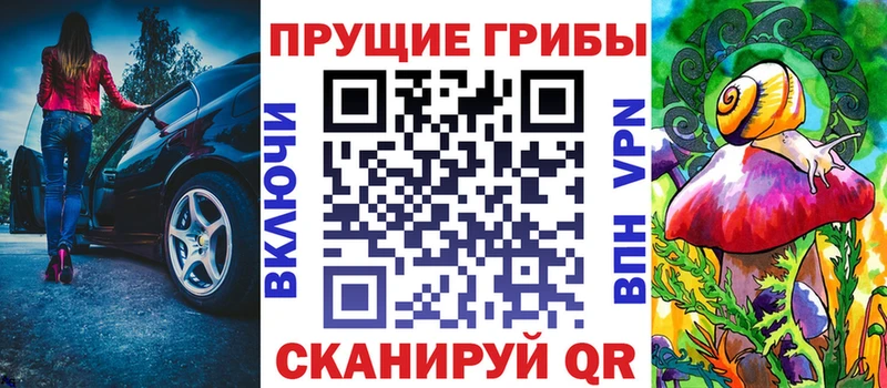 Псилоцибиновые грибы Psilocybe  Шенкурск 